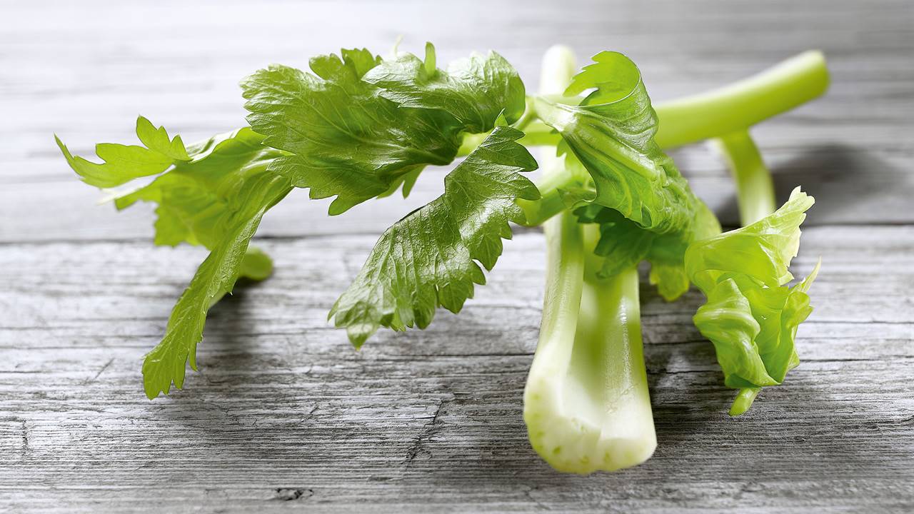 harpagofito-voltrem-opt